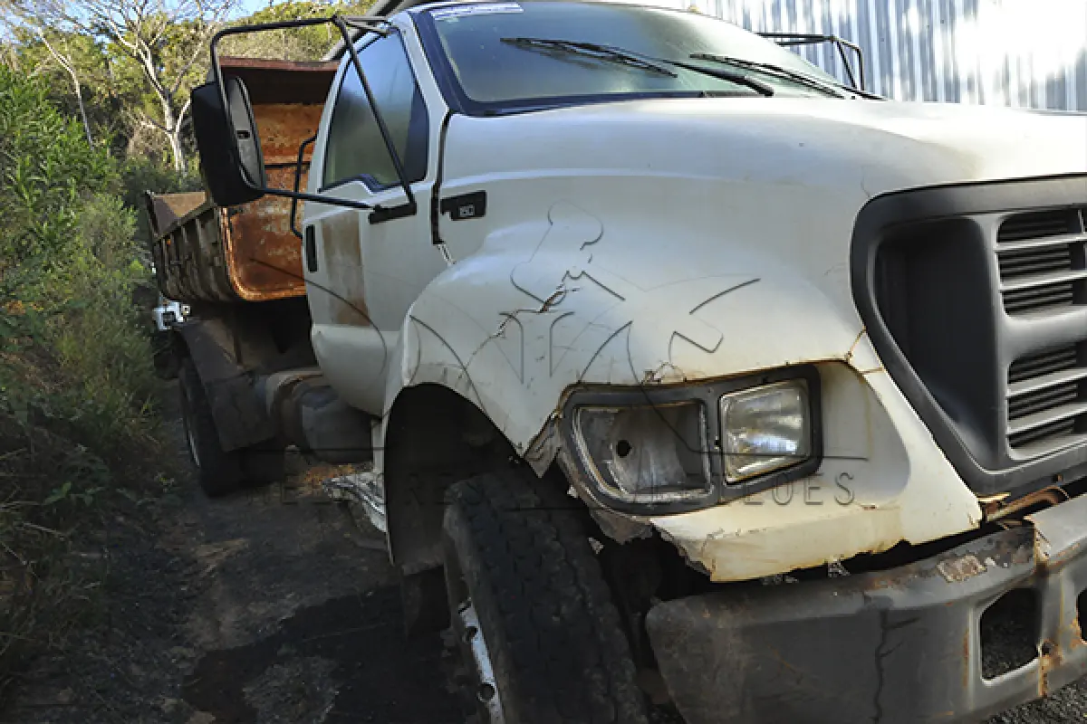 LOTE 001 - FORD F14000 160 - PLACA HMM9650 - ANO 2002 2002