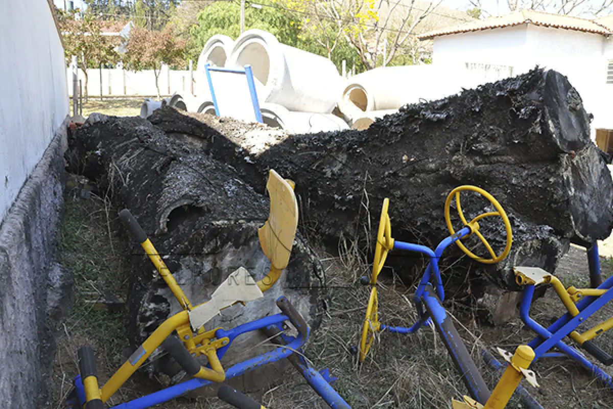 LOTE 011 - MADEIRA - MONTANTE