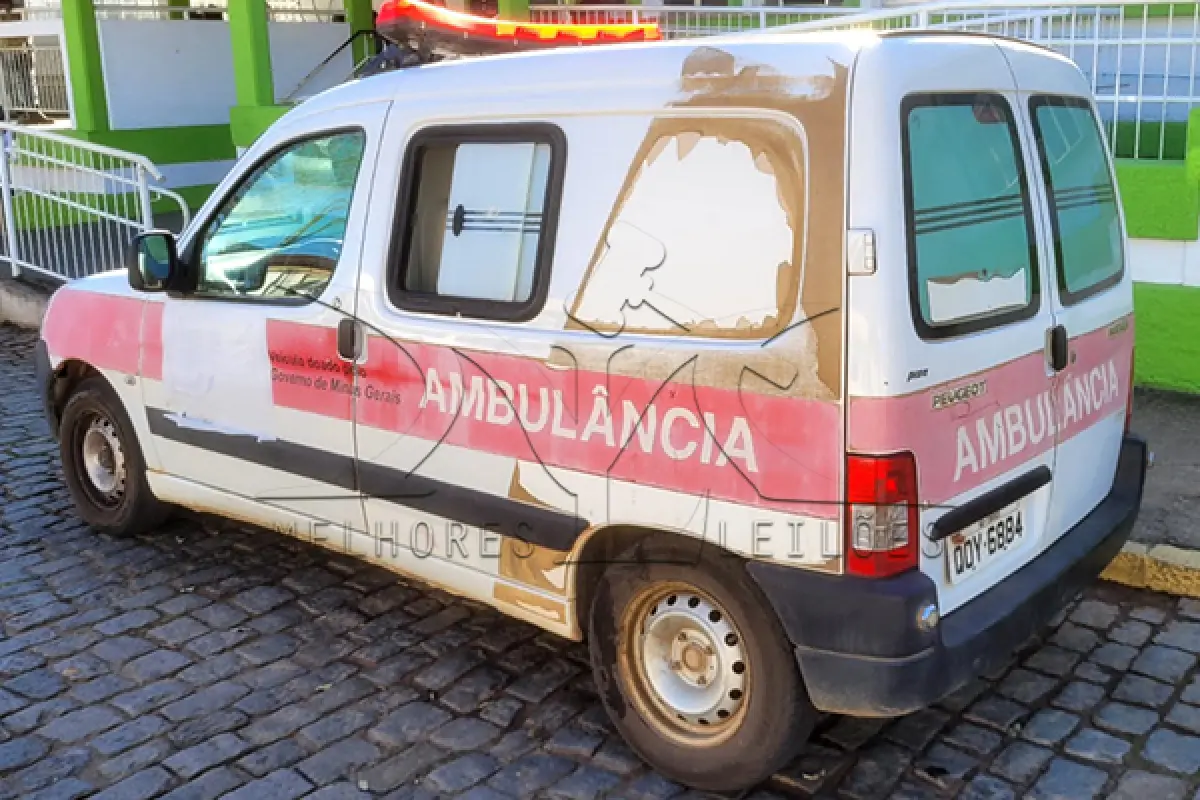 LOTE 010 - I PEUGEOT PART GEENCAR - ANO 2018 2019