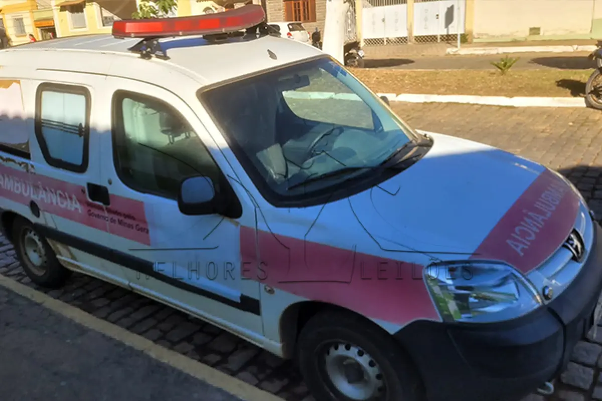 LOTE 010 - I PEUGEOT PART GEENCAR - ANO 2018 2019