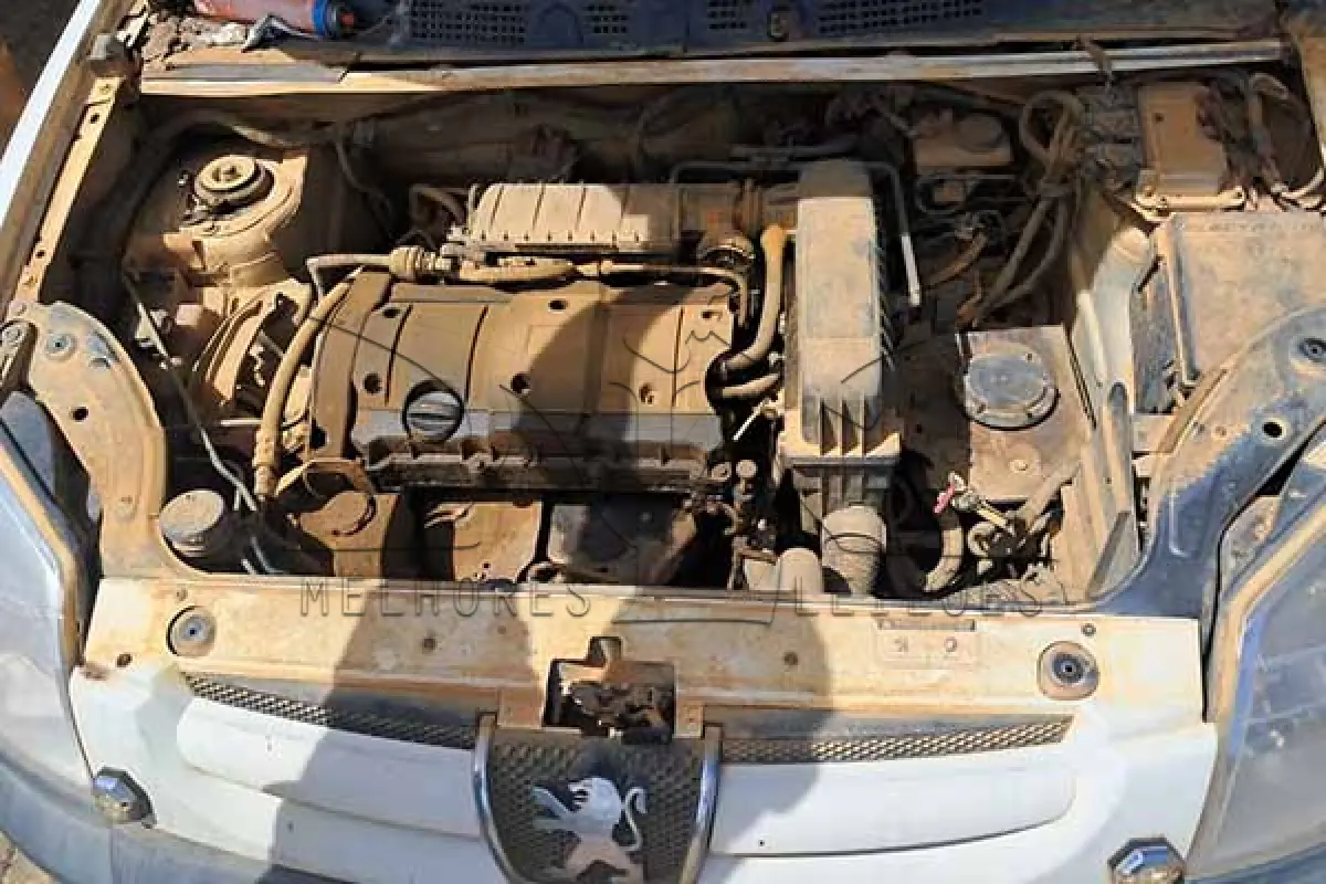 LOTE 005 - I PEUGEOT PART GREENCAR - ANO 2018 2019 - PLACA QOU6192