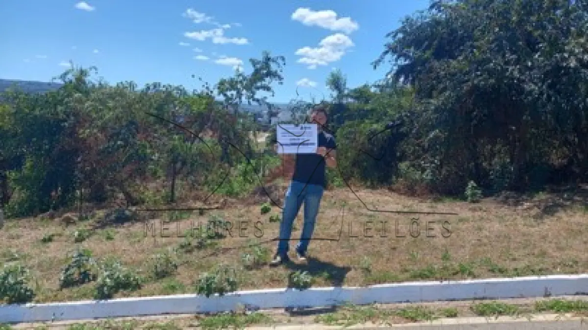 LOTE 011