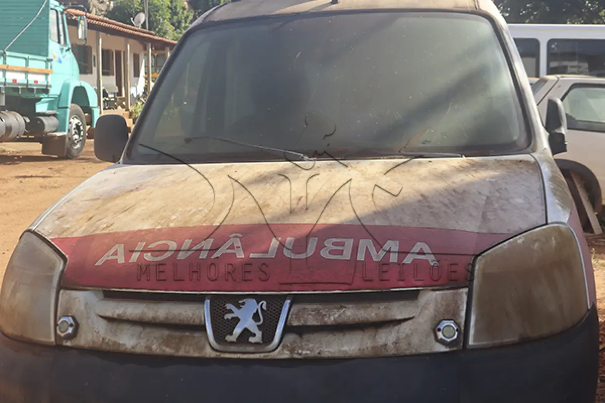 LOTE 010 - I PEUGEOT PART GREENCAR - ANO 2017 2018 - PLACA QOQ1886