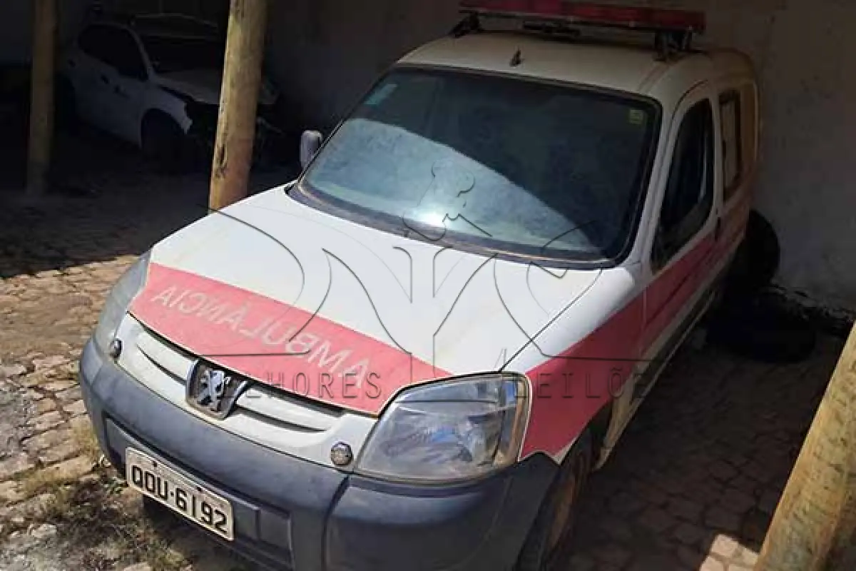 LOTE 005 - I PEUGEOT PART GREENCAR - ANO 2018 2019 - PLACA QOU6192