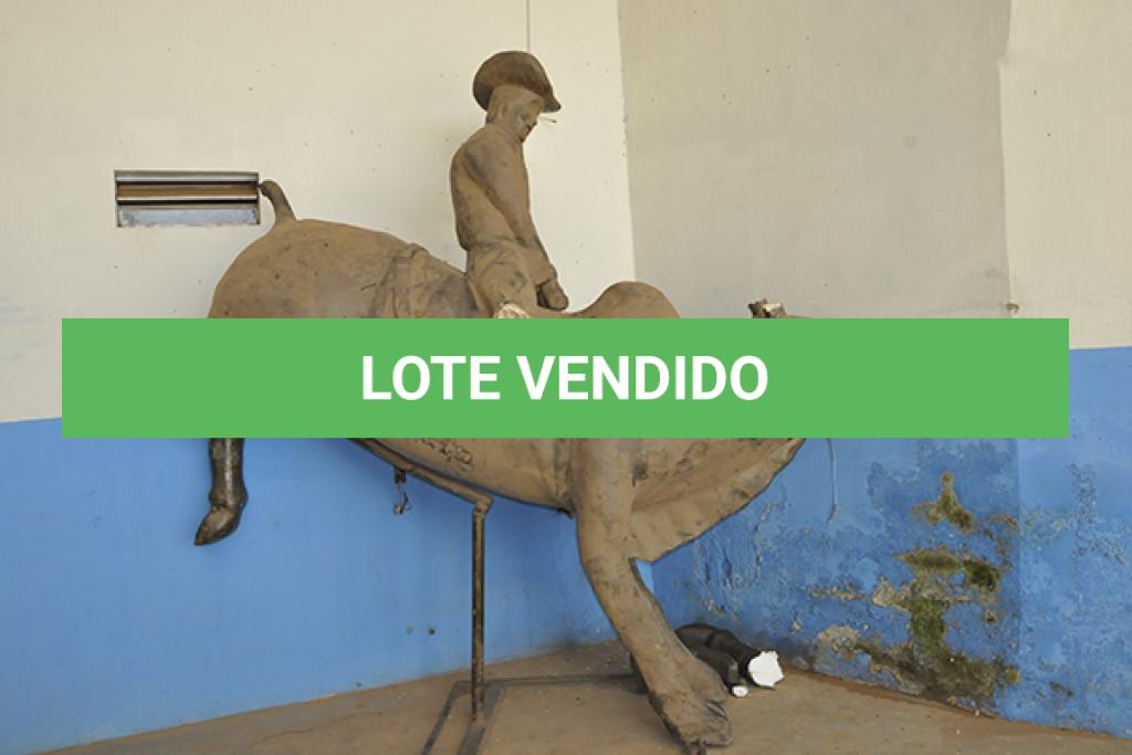 LOTE 011