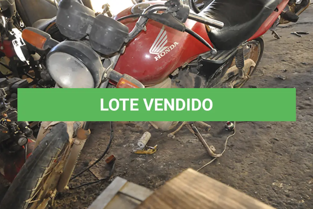 LOTE 003