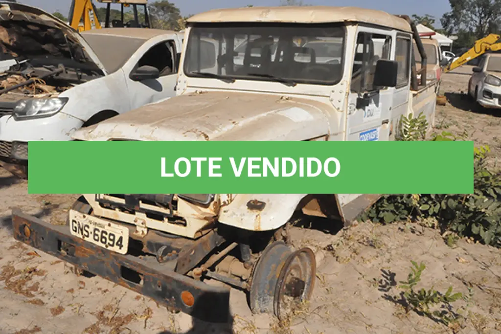 LOTE 029