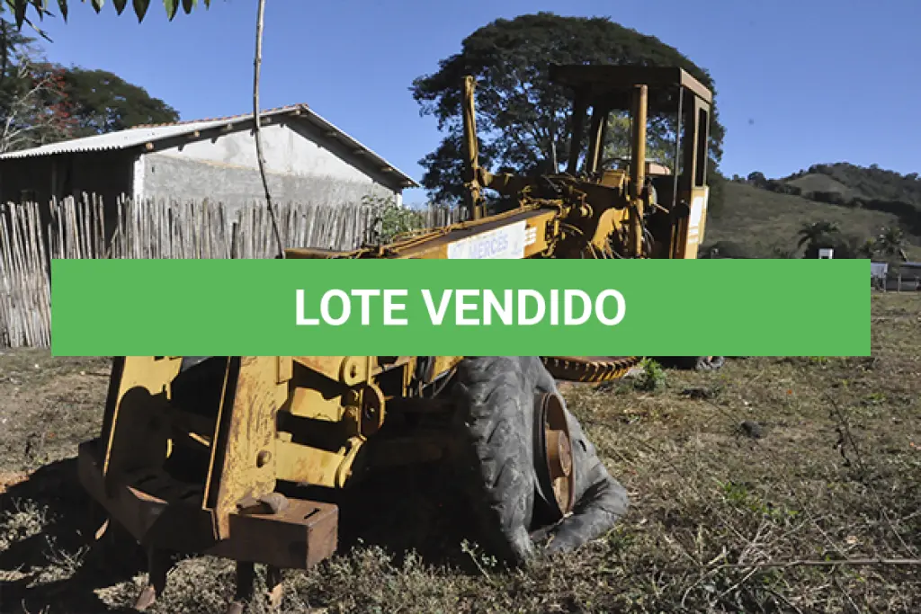 LOTE 011