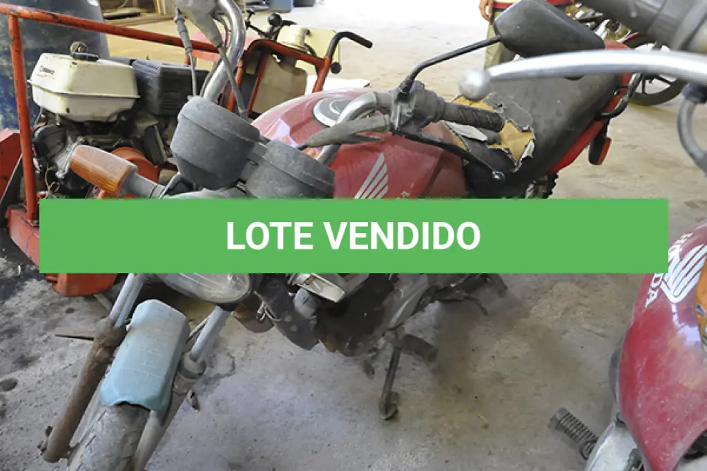LOTE 001