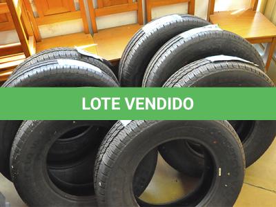 LOTE 013 - PENUES VEICULARES