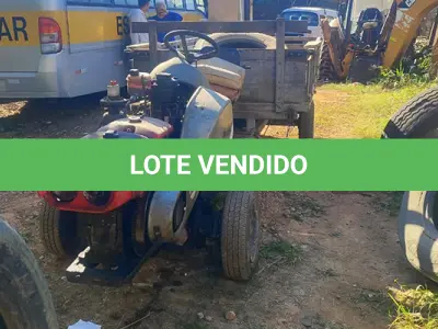 LOTE 014 - TRAMONTINI TOBATA - ANO 2015