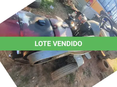 LOTE 014 - TRAMONTINI TOBATA - ANO 2015