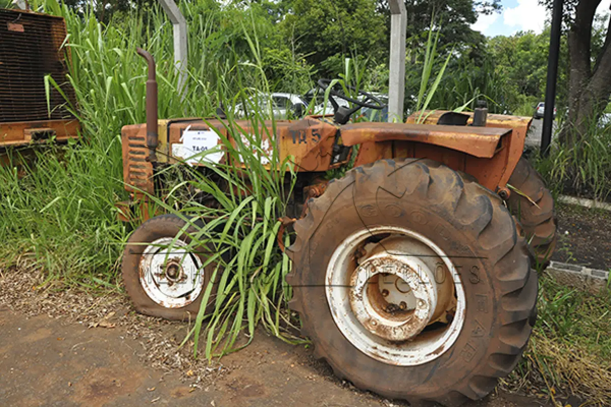 LOTE 052 - TRATOR AGRICOLA AGRALE – 4300  - 1986 - TA05