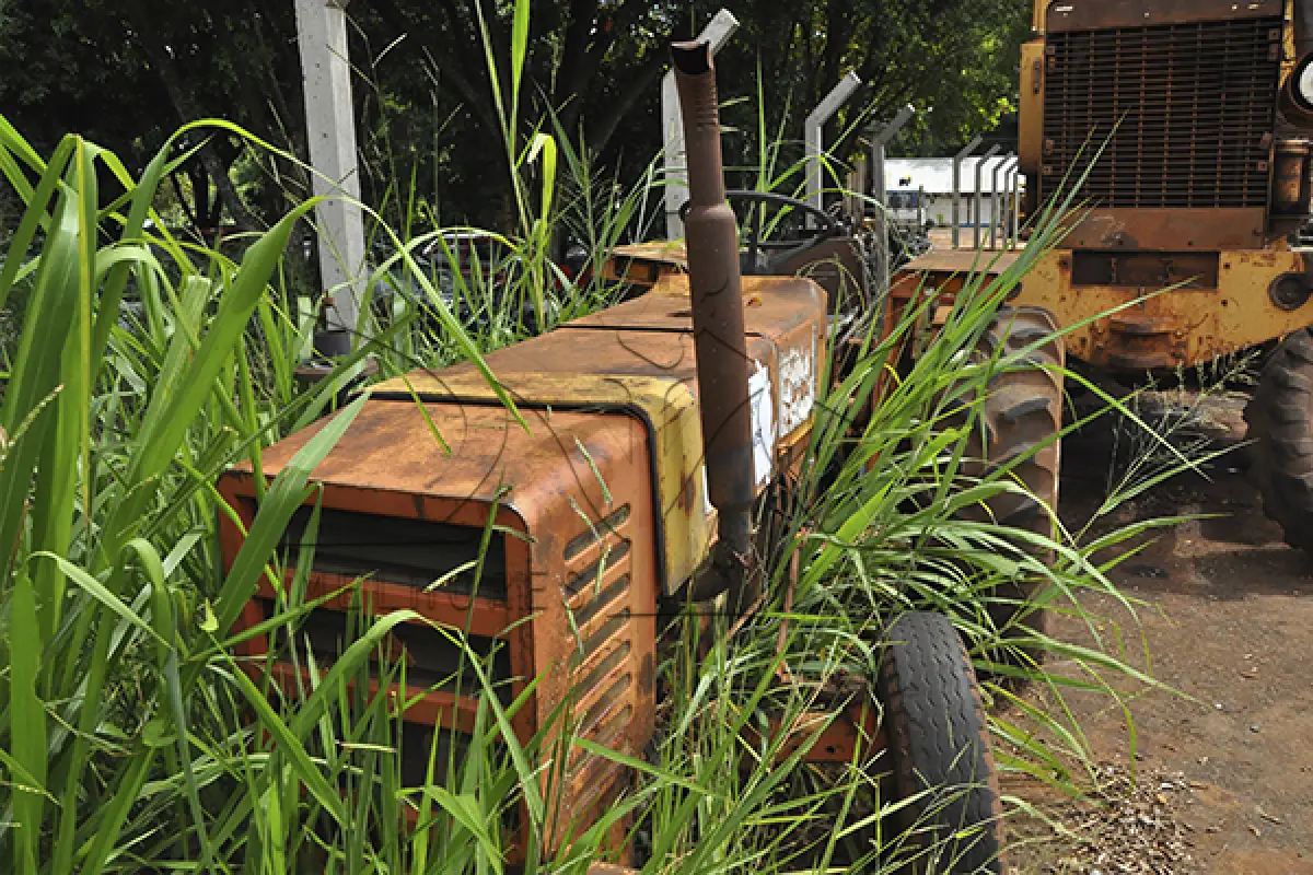 LOTE 052 - TRATOR AGRICOLA AGRALE – 4300  - 1986 - TA05
