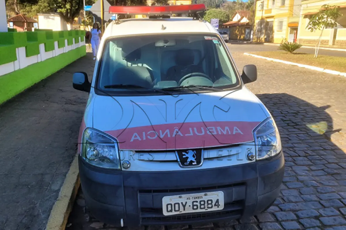 LOTE 010 - I PEUGEOT PART GEENCAR - ANO 2018 2019