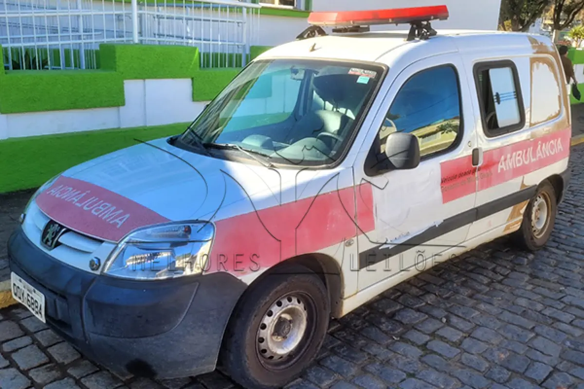 LOTE 010 - I PEUGEOT PART GEENCAR - ANO 2018 2019