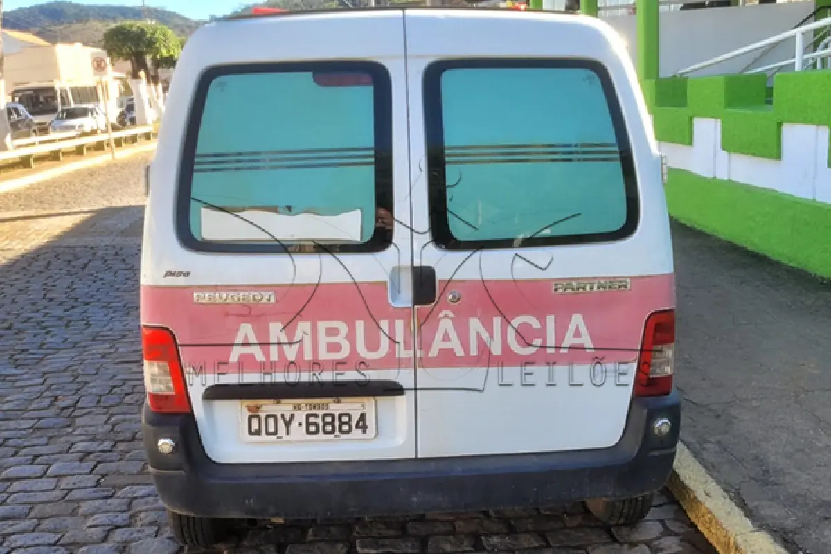 LOTE 010 - I PEUGEOT PART GEENCAR - ANO 2018 2019