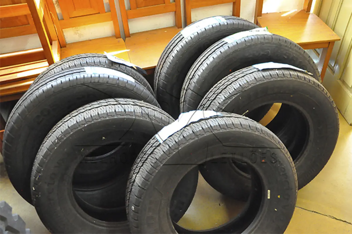 LOTE 013 - PENUES VEICULARES