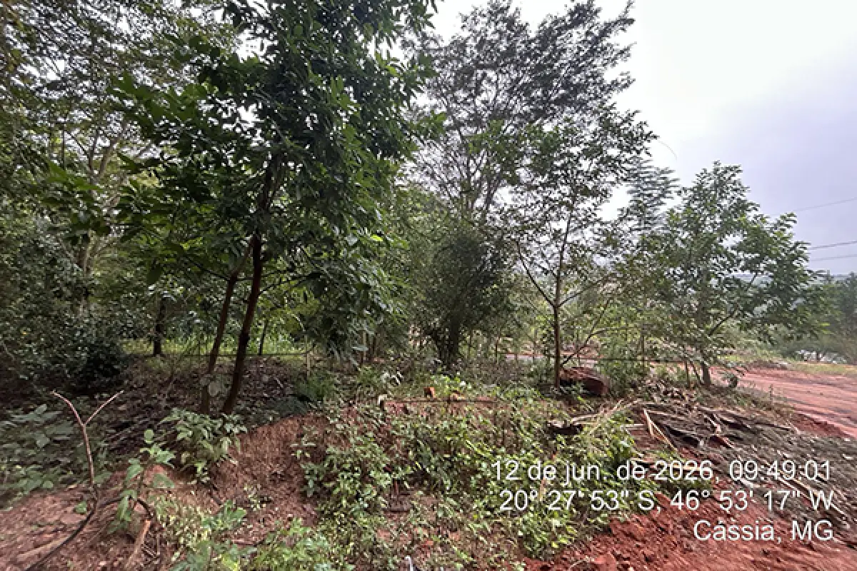LOTE 021 - PRAIAS DO LAGEADO II - MATRICULA 19.280 - ÁREA DO LOTE 1.925,00