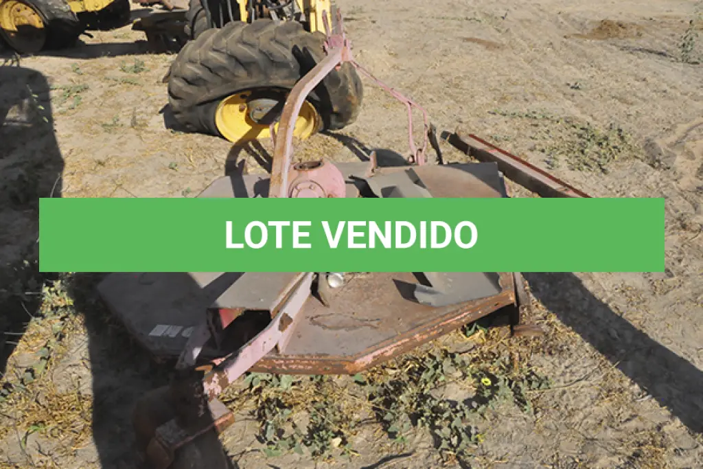 LOTE 046