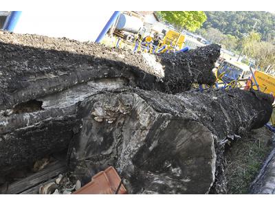 LOTE 011 - MADEIRA - MONTANTE