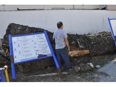 LOTE 011 - MADEIRA - MONTANTE