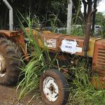 LOTE 052 - TRATOR AGRICOLA AGRALE – 4300  - 1986 - TA05
