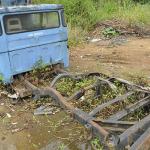 LOTE 013 - SUCATA - TOYOTA BANDEIRANTES - PLACA GXA-0117 - ANO 1979 1979