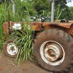 LOTE 052 - TRATOR AGRICOLA AGRALE – 4300  - 1986 - TA05