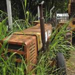 LOTE 052 - TRATOR AGRICOLA AGRALE – 4300  - 1986 - TA05