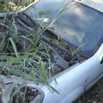 LOTE 002 - RENAUT KANNGOO AMB. - PLACA PVV-8427